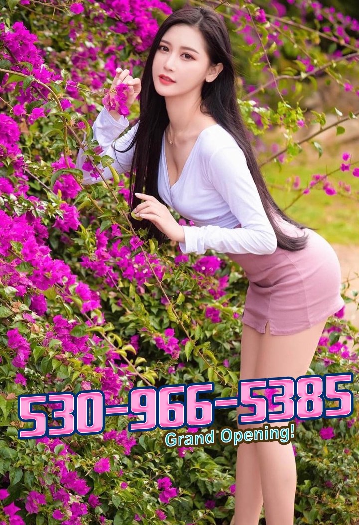 escorts
