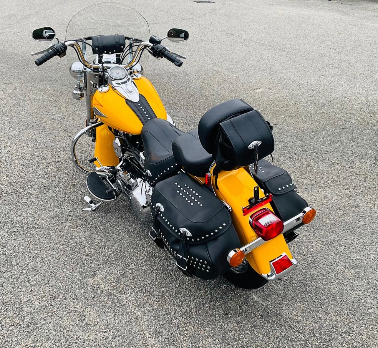 escorts