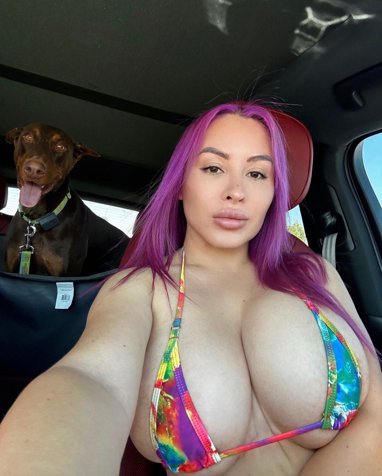 escorts