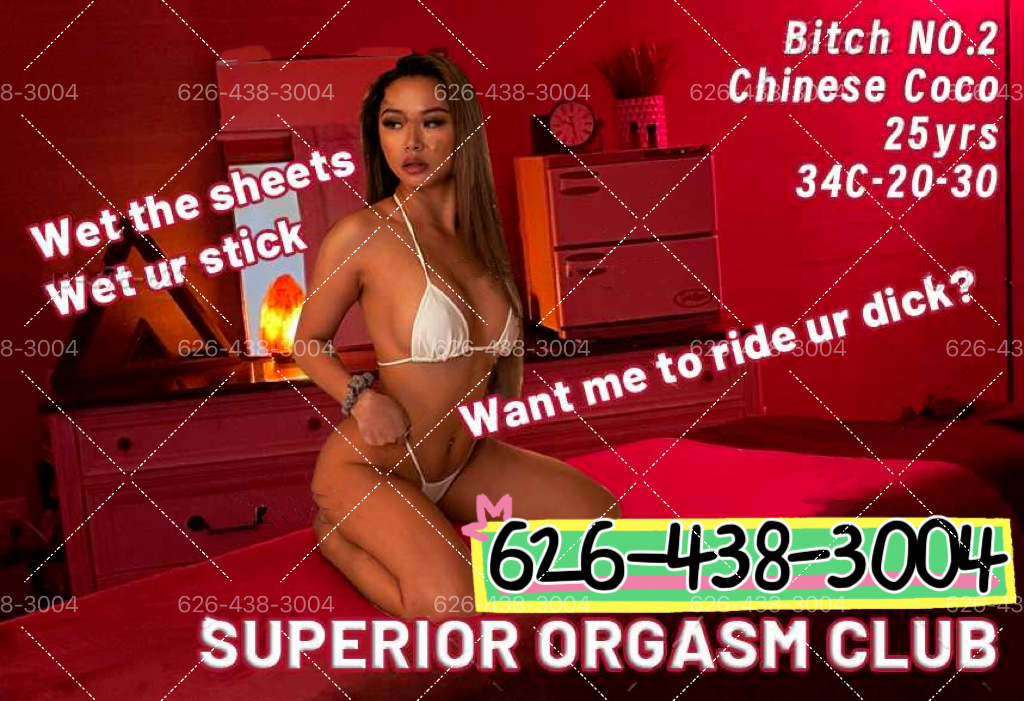 escorts