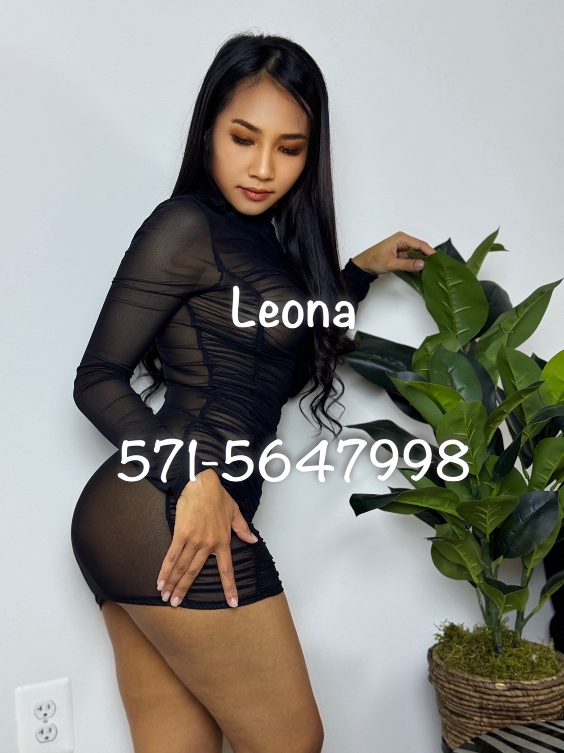 escorts