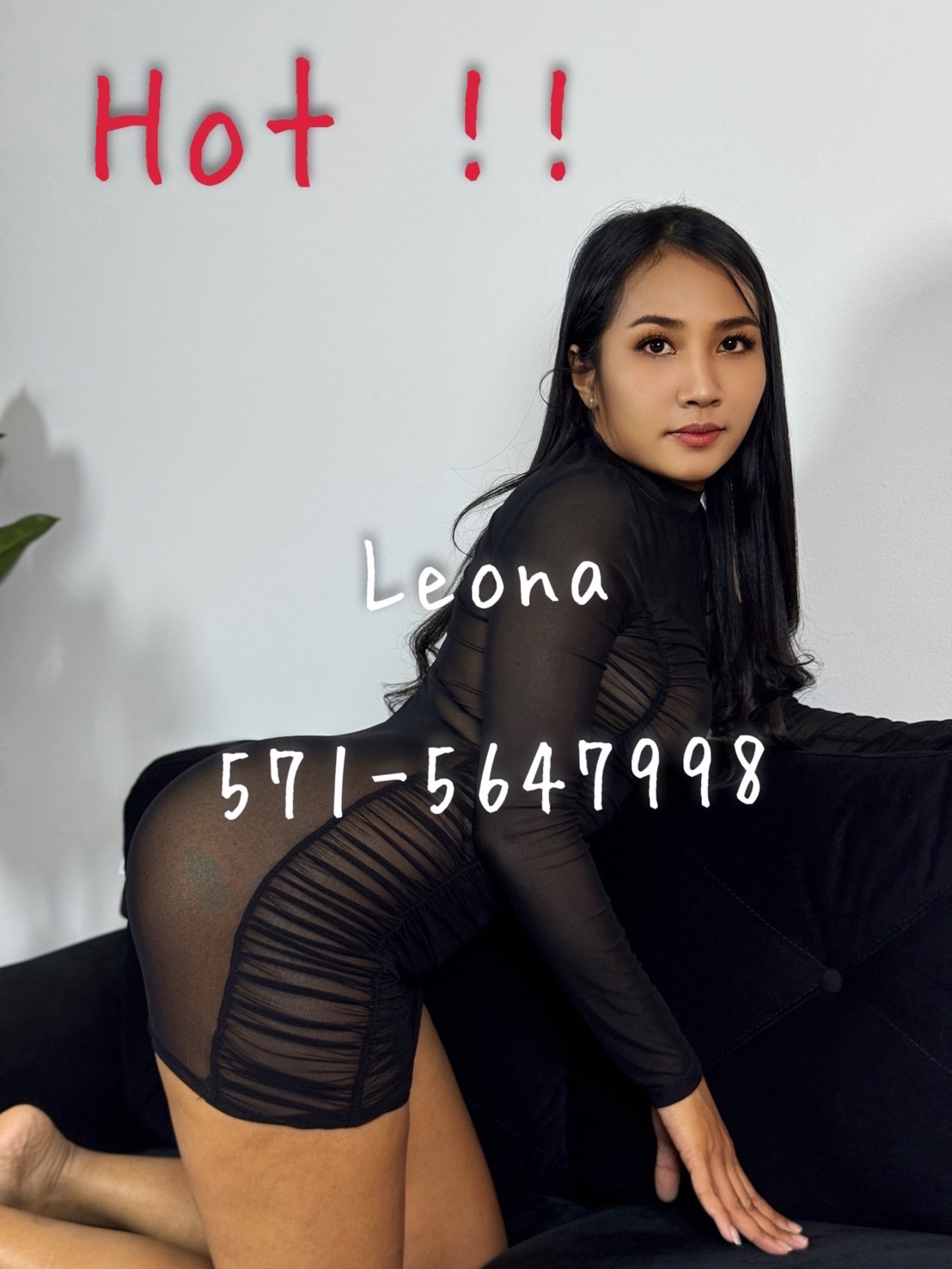 escorts
