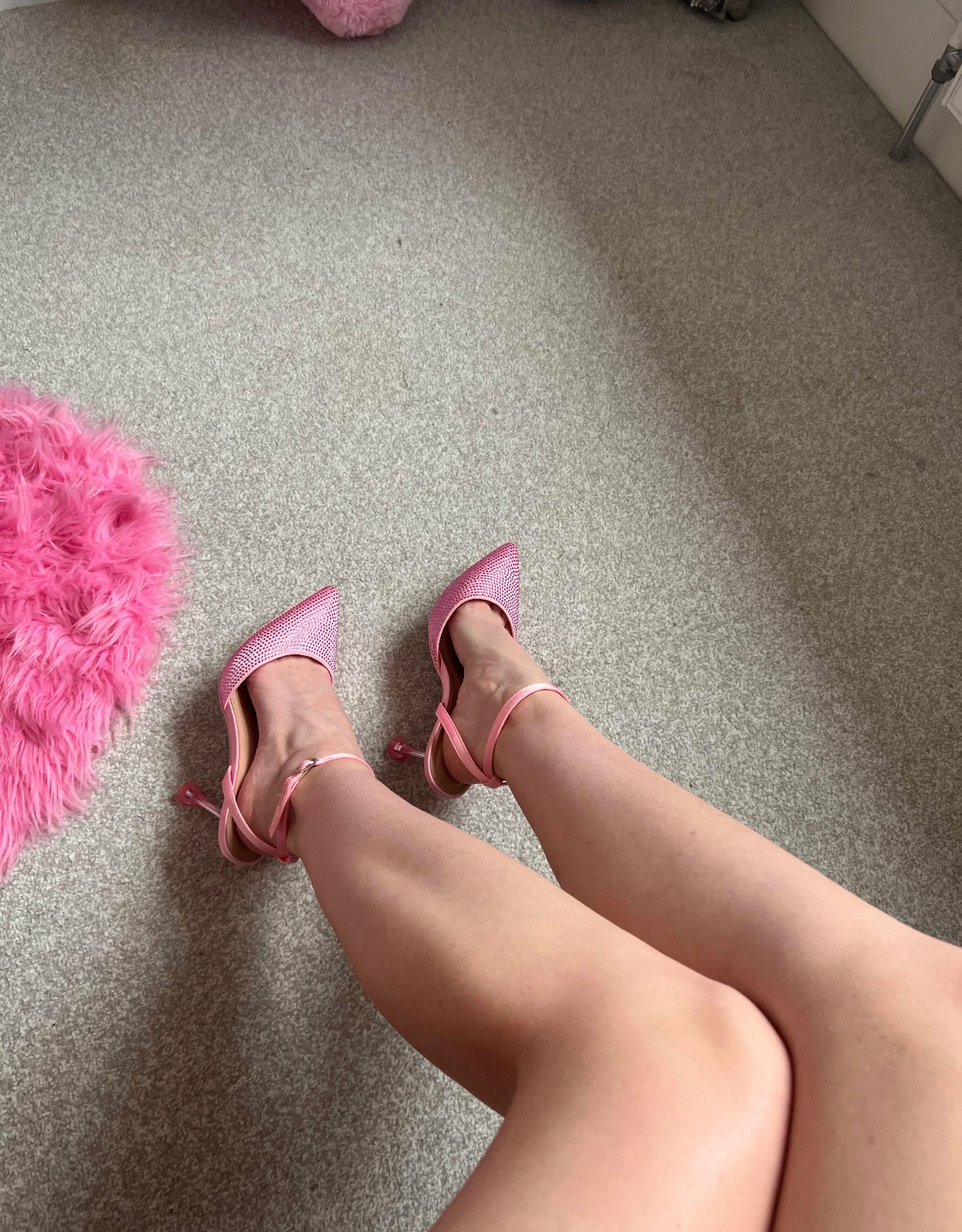 escorts