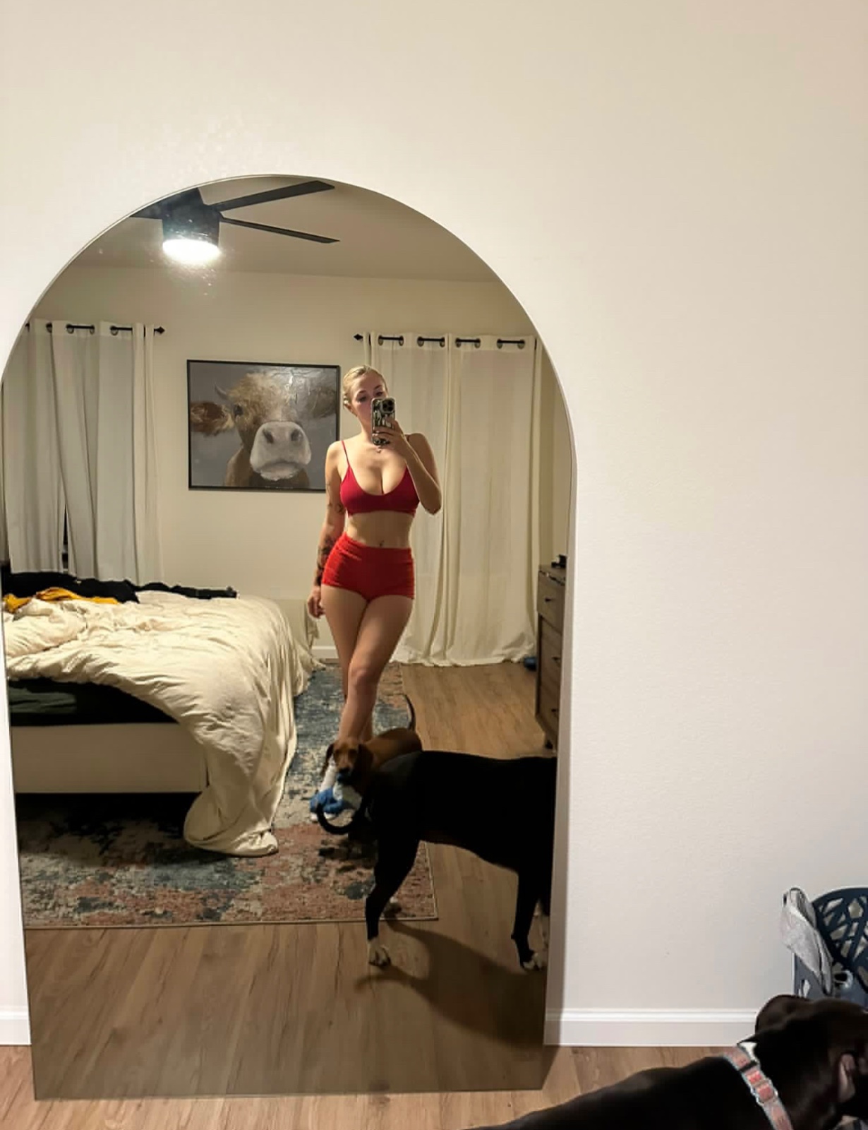 escorts