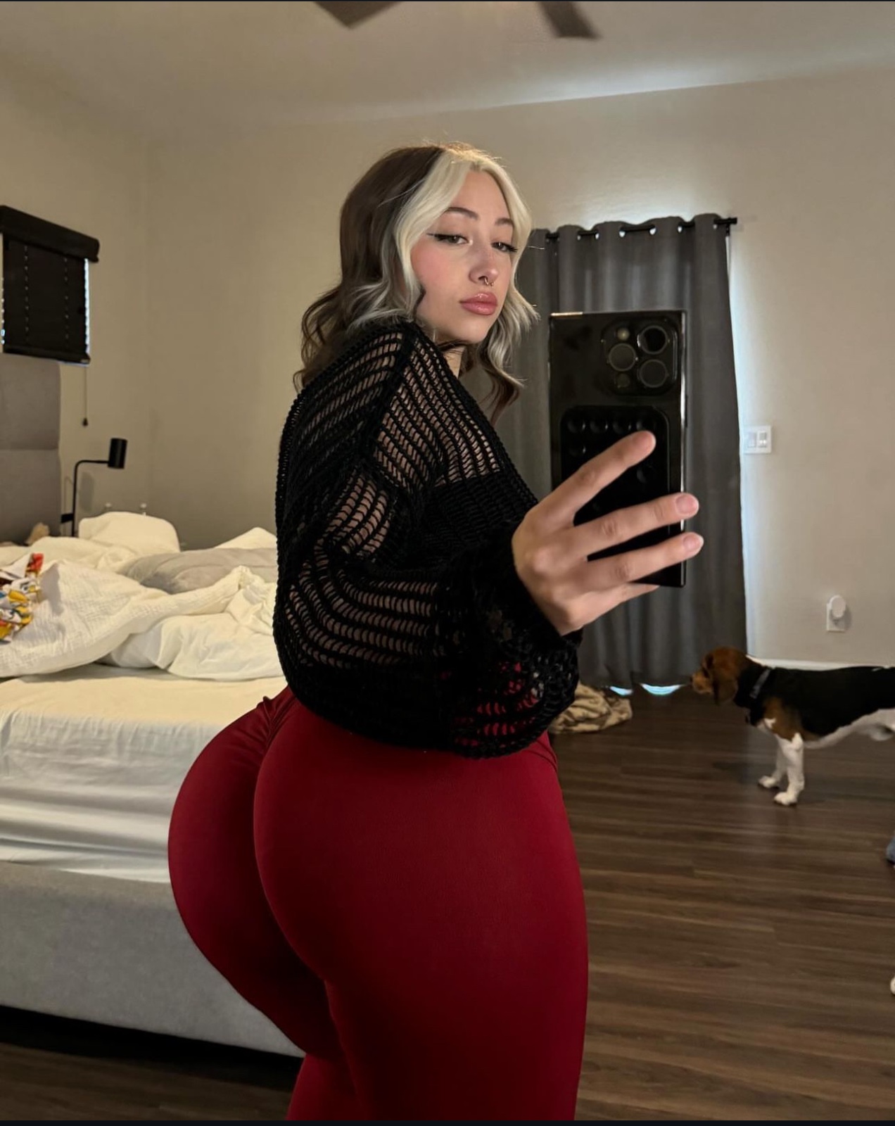escorts