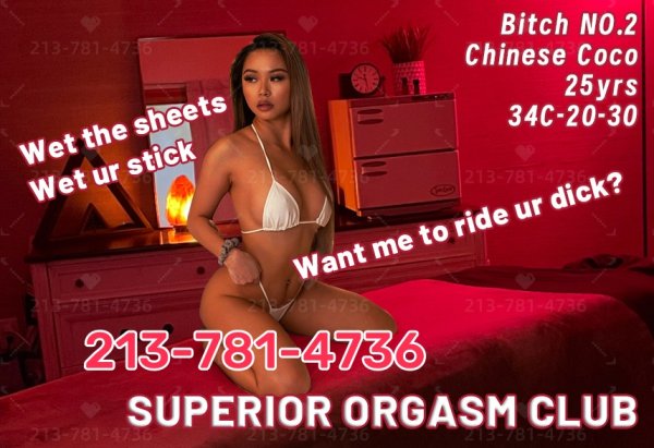 escorts