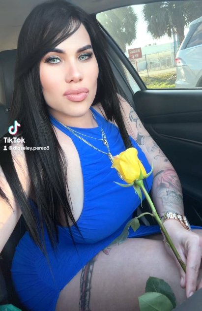 escorts