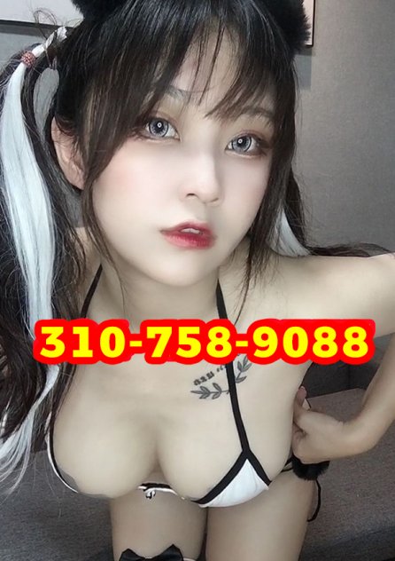 escorts