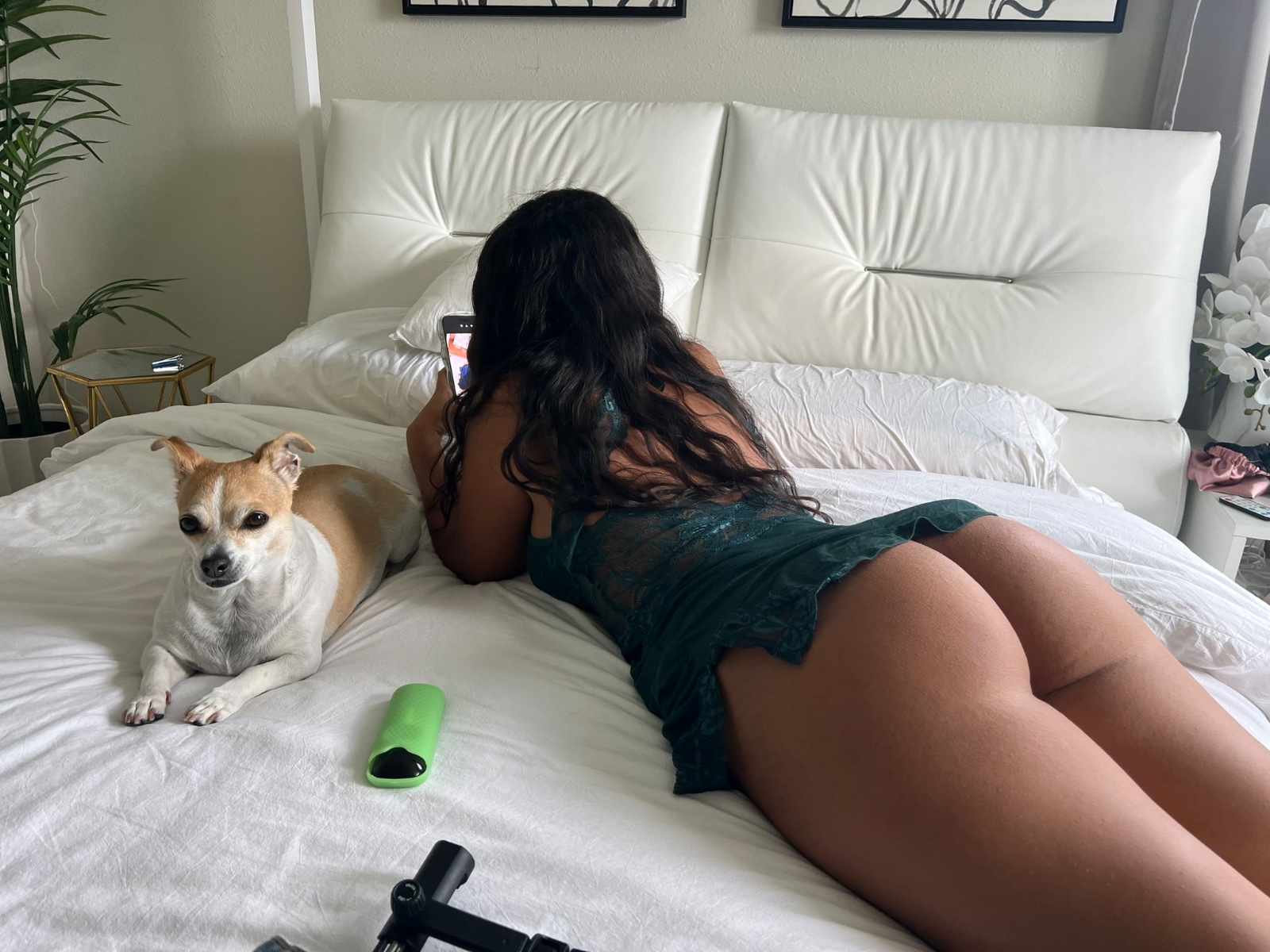 escorts