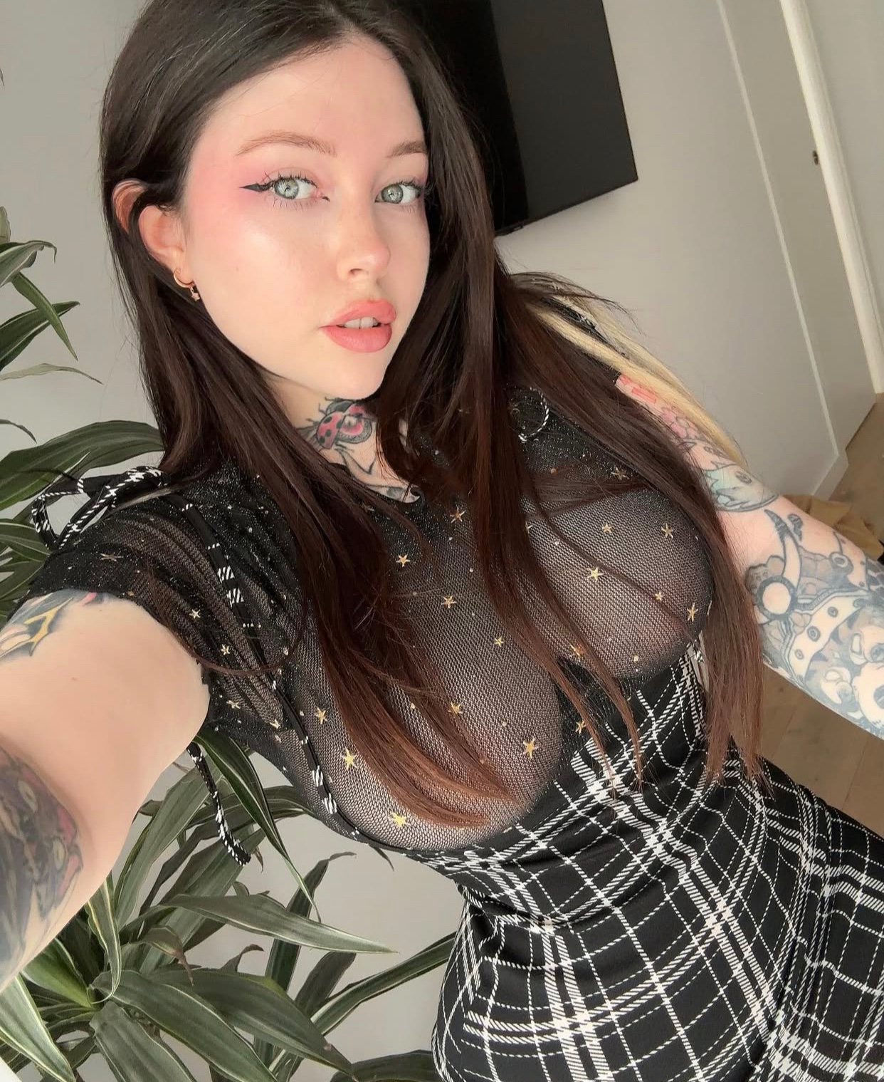 Text on WhatsApp +1 (321) 278‑6752