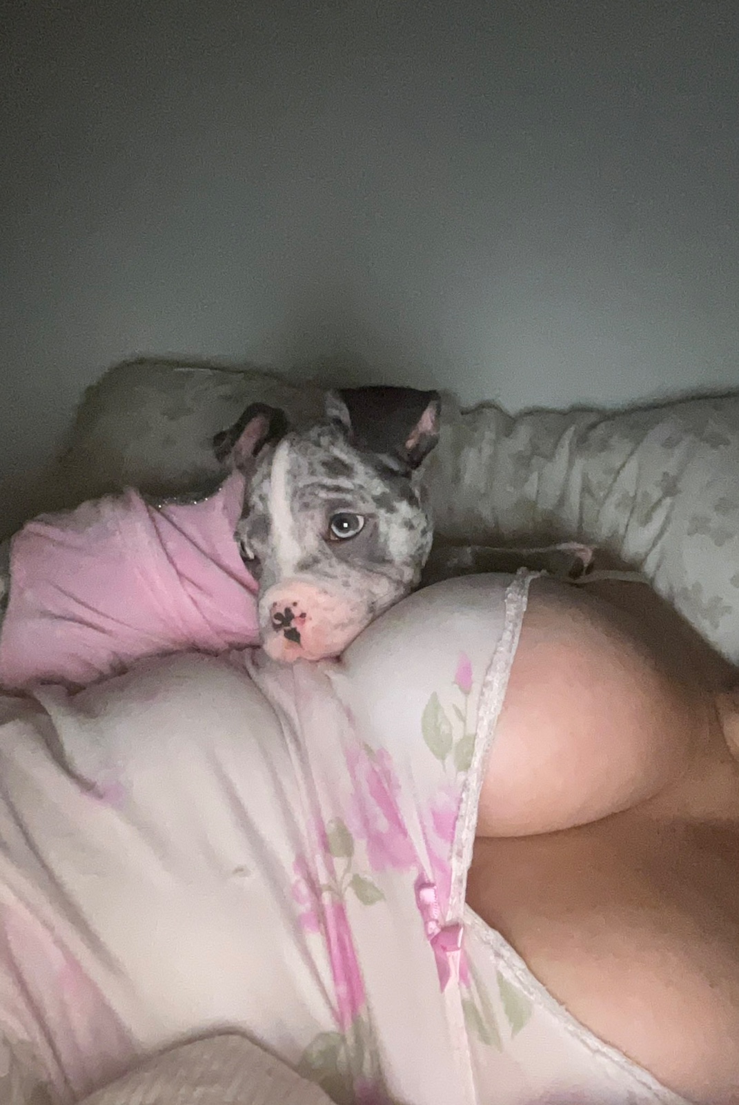 Hey handsome I’m Lauren available for fun. And am a squirter 💦 💕☺️ +1 (509) 270-1532