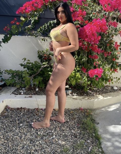 Rich, hot and addictive... your fantasy come true