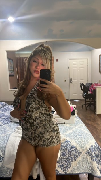 The Essence Of Latin Elegance