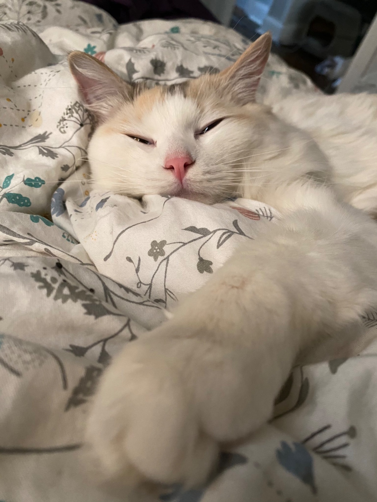 🔥🔥🔥💦I am available right now💦 Young🔥Hott$exy and Wet💦and Fun👅