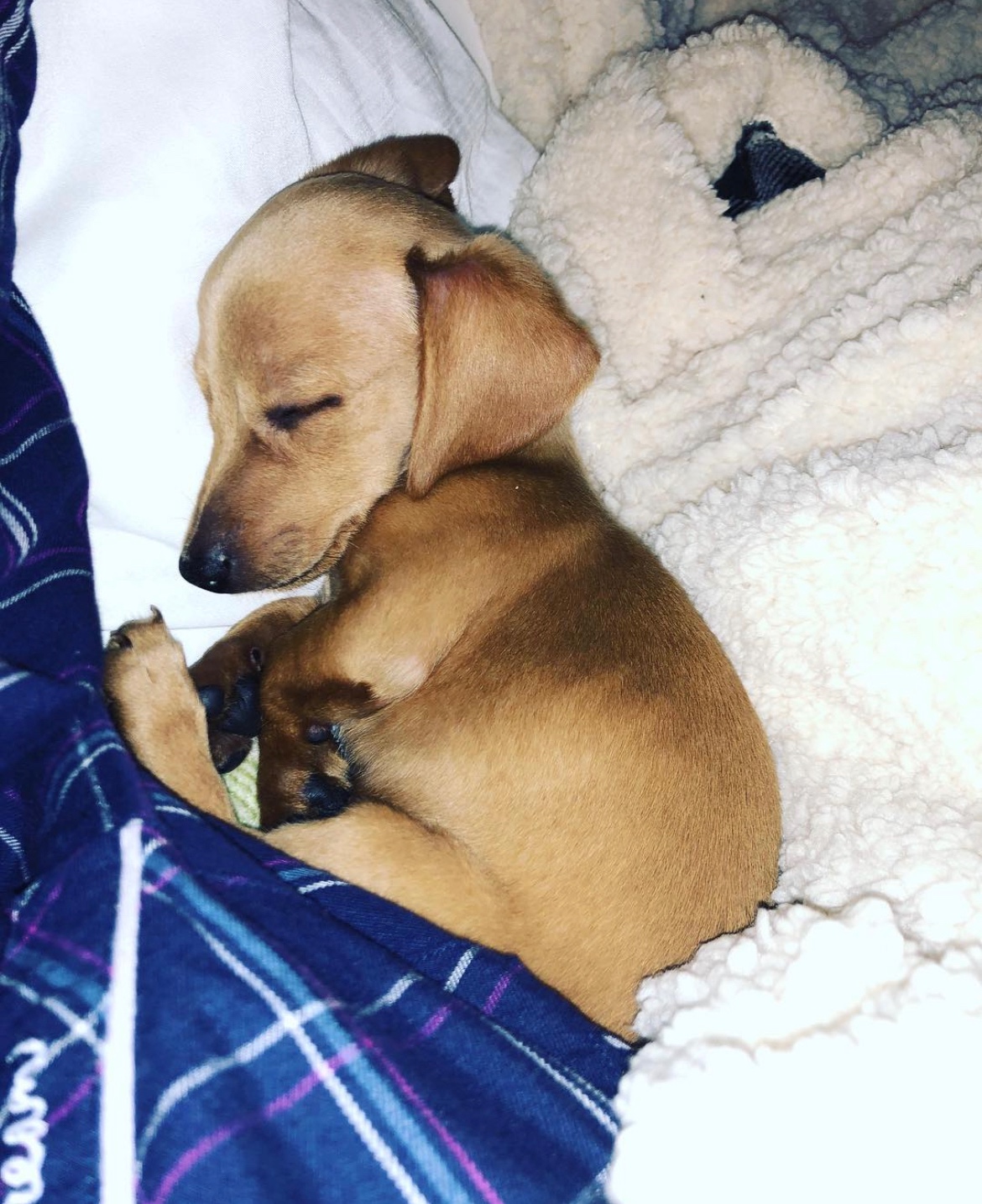 P2P CITY GIRLS ESCORT AFFAIRS