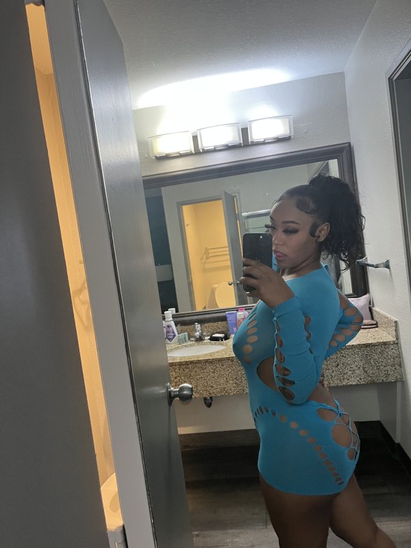 Sexy mixed breed New In Town Near University Area⭐️