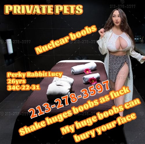 6 Private pets need owner,come to pick them up 213-278-3597