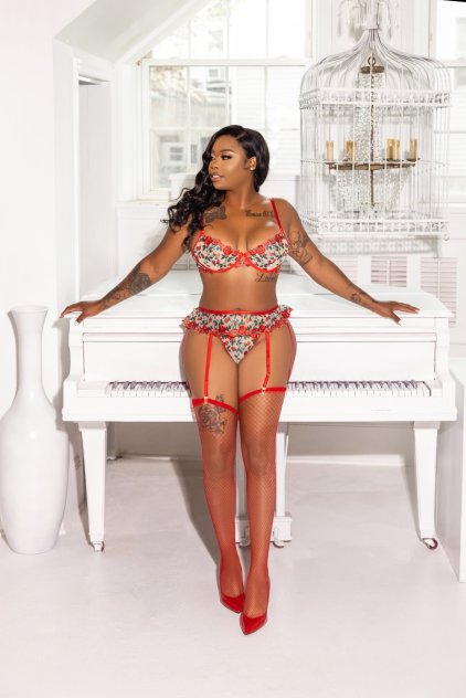 Elite Ebony Companion 💎