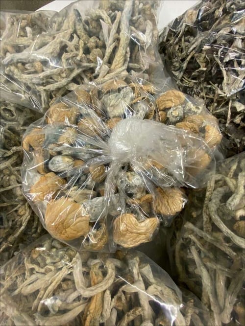 🇺🇸 ESCORT AVAILABLE AND PARTY FAVORS ❄️🍄🎱🍁