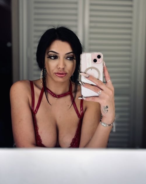 Your New Favorite