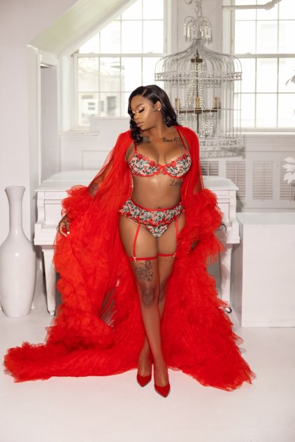 Elite Ebony Companion