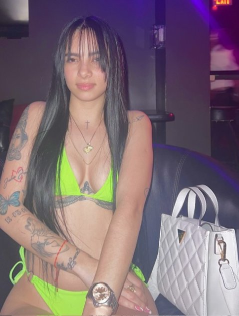 Aile chica latina