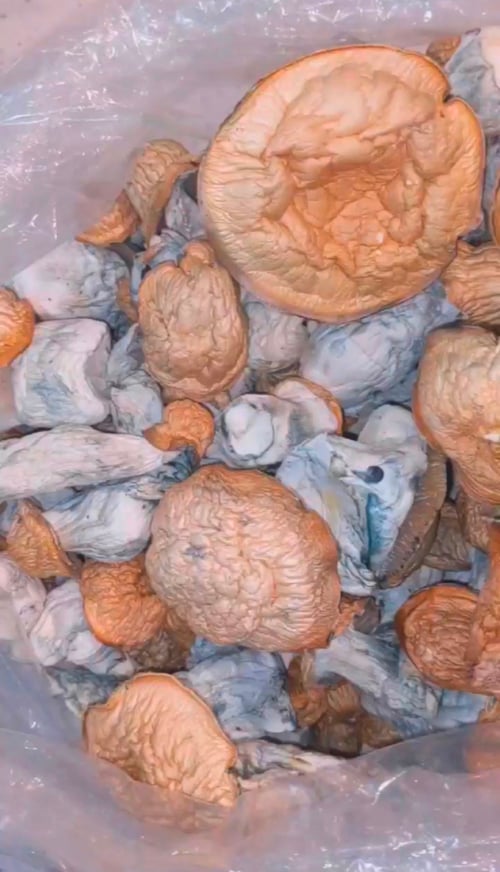 I'm down for fun and sell party favors🧊🍄🍁🥃
