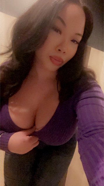 busty and exotic