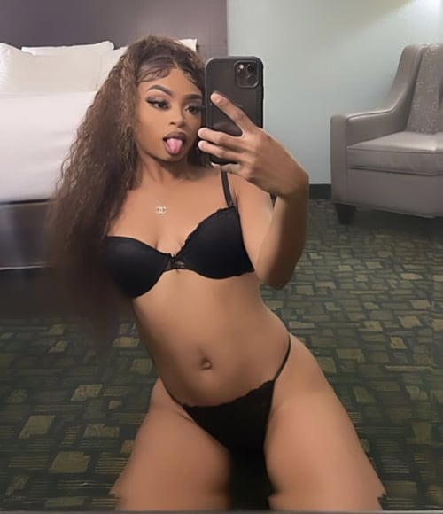 Your Favorite Elite Ebony Companion