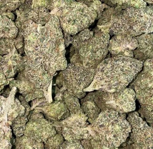AVAILABLE FOR FUN AND SELL DRUG 💊 👅💋 My cell# 812 223 4368