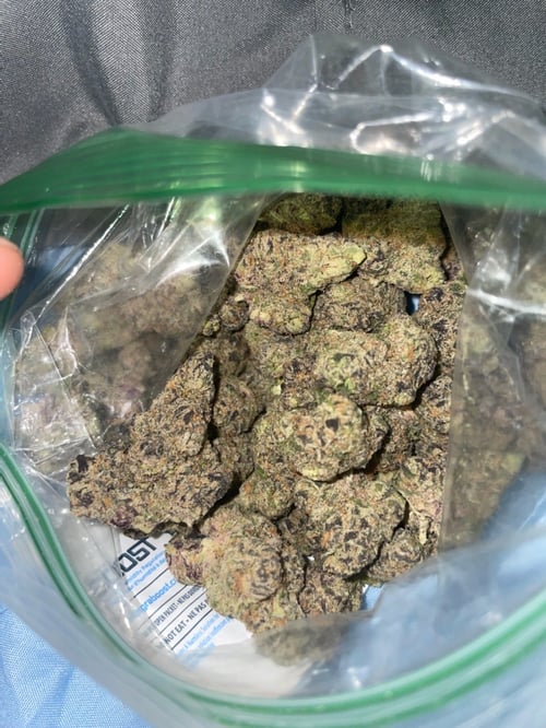 - [ ] DOWN FOR FUN AND SELL DRUG 👅 !!! 💦💦💦💦🍆🍆🍆🍆👅👅
