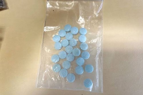 - [ ] DOWN FOR FUN AND SELL DRUG 👅 !!! 💦💦💦💦🍆🍆🍆🍆👅👅