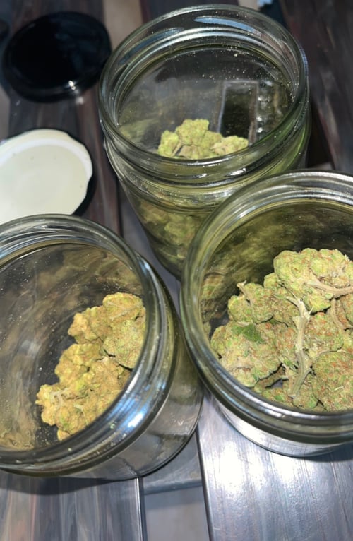 🍑🍆17869627525 📞 i Sell weed n” drugs//i offer body Massage+ Fun Session 😘