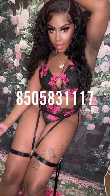 New Exotic thick ebonee