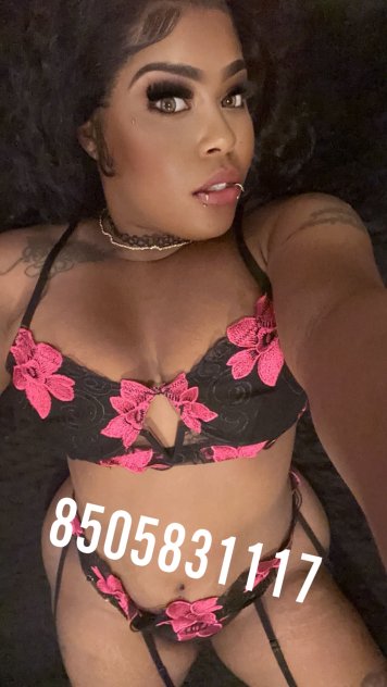 New Exotic thick ebonee