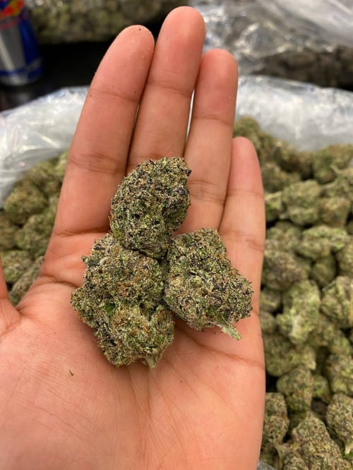 I’m Angela🍑🍆 , I sell Drugs❄️💊&weed Add Me For hoookup,couples fun,Bdsm🤩