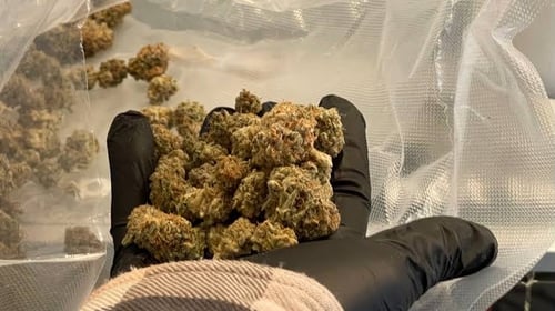 ✰ 💞 Exclusive 100% Relaxing 😘 pleasure 😘 💋 Sells Weed &Molly🍆+1(917)561-7960 ✰ 💋