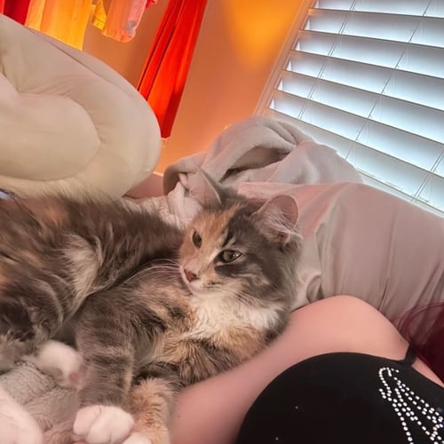 Gfe ,anal&pussy sex , no restrictions, looking forward to meet respectful and loving man