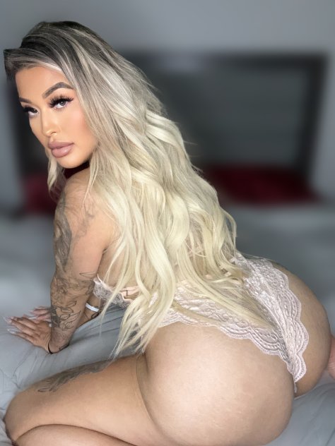 Elite companion. Sensual curvy latina