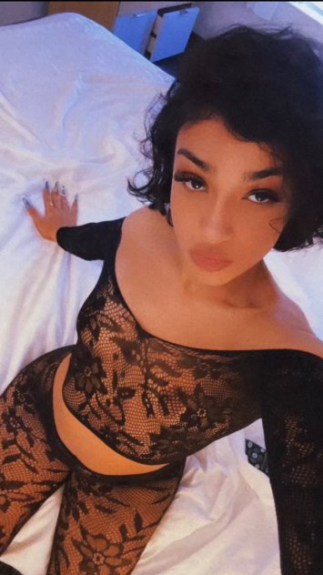 Your New Favorite Upscale Companion 💫