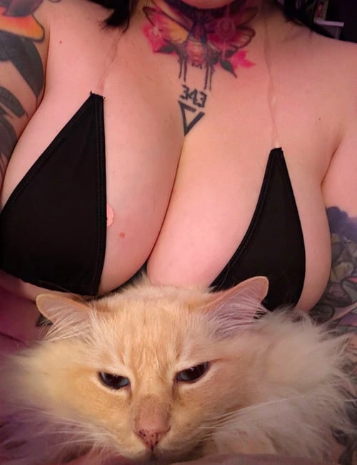 MEET&FUCK