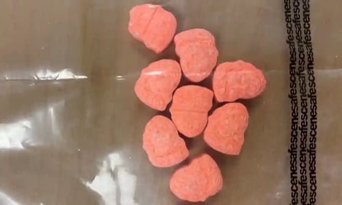DOWN FOR FUN AND SELL DRUG ๐
!!! ๐ฆ๐ฆ๐ฆ๐ฆ๐๐๐๐๐
๐